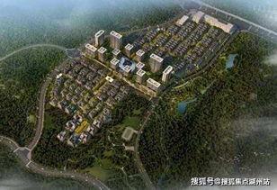 嘉兴平湖爆料事件最新,揭秘背后真相与争议焦点